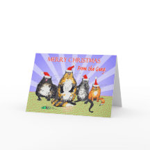 Cats, merry Christmas from the bende, humor