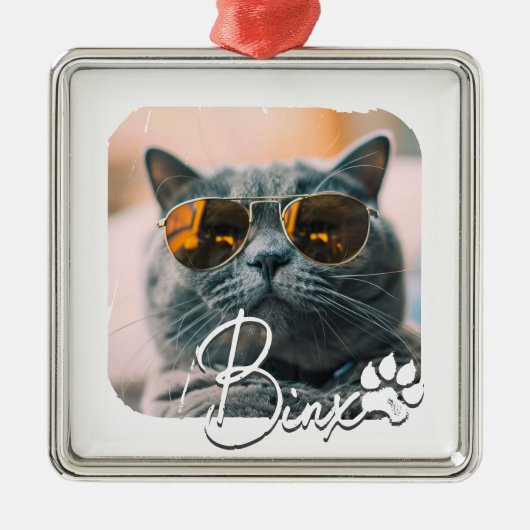 Cat's Modern Simple Cool Grunge Naam en foto Metalen Ornament (Voorkant)