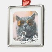 Cat's Modern Simple Cool Grunge Naam en foto Metalen Ornament (Links)