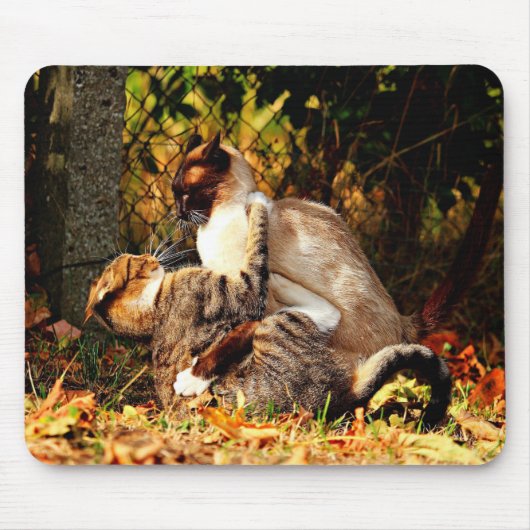 Cats Mousepad Muismat (Voorkant)