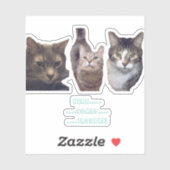 Cats op maat gesneden vinyl Sticker (Vel)