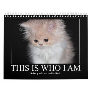 Cats Philosophy Calendar Kalender