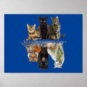 Cats Reflection Friend Cat Lovers Cute Tiger Poster