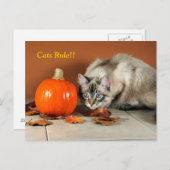 Cats Rule Siamese Post Card Briefkaart (Voorkant / Achterkant)