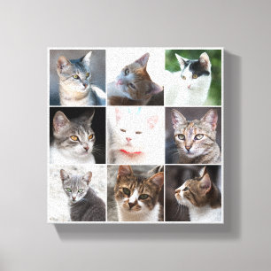 CATS - SJABLOON CANVAS AFDRUK