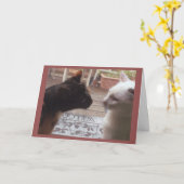 Cats Welkom Kaart (Gele Bloem)