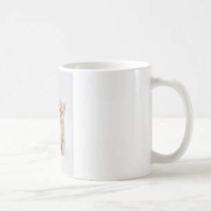 Cats Welkom Koffiemok