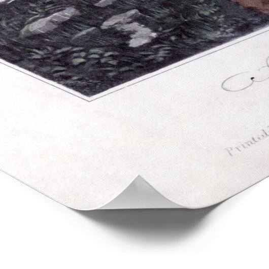 Catskills Mountain House Poster (Hoek)