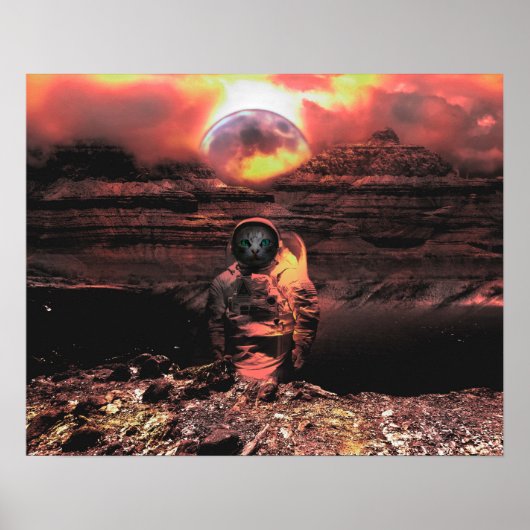 Catstronaut Poster (Voorkant)