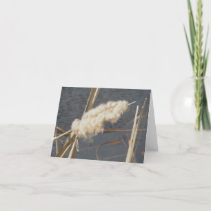 Cattail en mars Carte de note