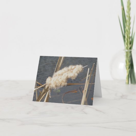 Cattail en mars Carte de note (Devant)