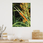 Cattail op Sunset Poster (Keuken)
