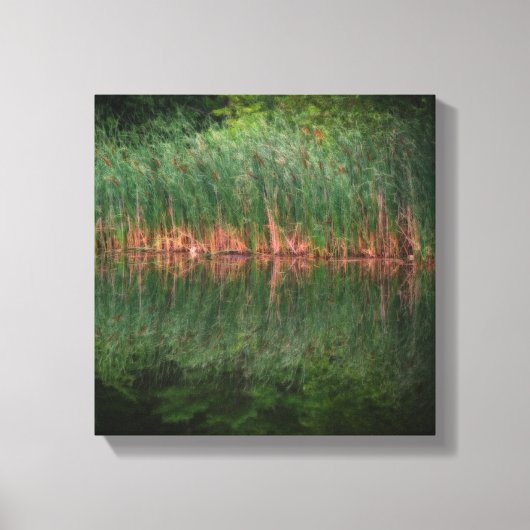 Cattail Reflections in Pond Orton Effect Canvas Afdruk (Voorkant)