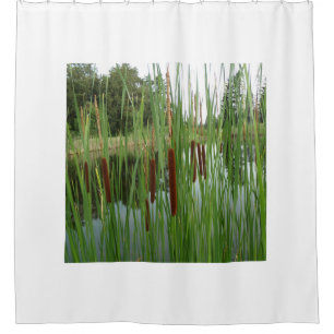 Cattails au bord du rideau de douche du lac