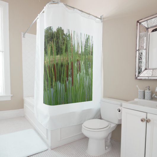 Cattails bij het douchegordijn van het meer (In situ)