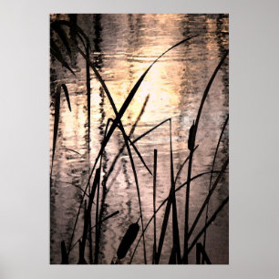 Cattails bij zonsondergang poster