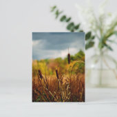 Cattails Briefkaart (Staand voorkant)