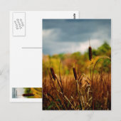 Cattails Briefkaart (Voorkant / Achterkant)