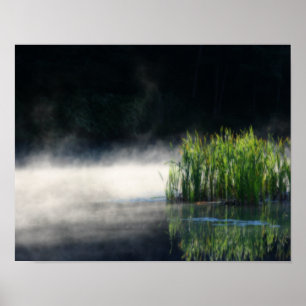 Cattails in de mist op een vijver Orton Art Poster
