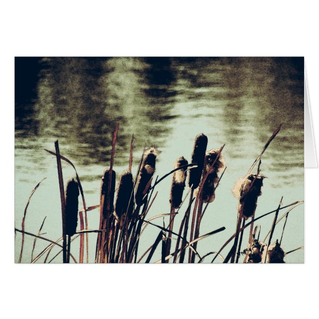 Cattails, Plantes d'étang (Devant horizontal)