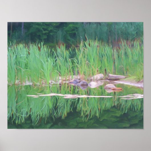 Cattails Pond Reflections Photo Painting Poster (Voorkant)