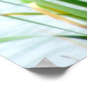 Cattails Poster (Hoek)