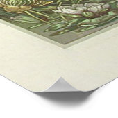 Cattails Waterlelies van Anton Seder Poster (Hoek)