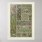 Cattails Waterlelies van Anton Seder Poster (Voorkant)