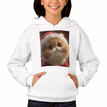 Cattastique Noël