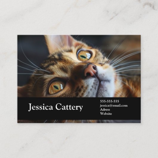 cattery foto, naam, diensten visitekaartje (Voorkant)