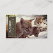 Cattery, huisdier-instapservice visitekaartje (Voorkant)