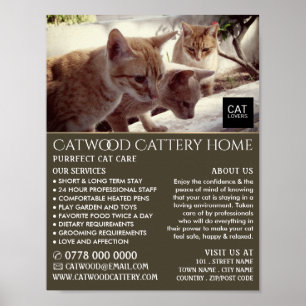 Cattery, Pet Boarding Service, Adverteren Poster