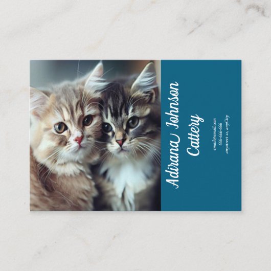 Cattery Visitekaartje Blauw ontwerp (Voorkant)