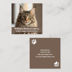 Cattery Visitekaartje met Kattenfoto