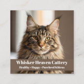  Cattery Visitekaartje met Kattenfoto (Voorkant)