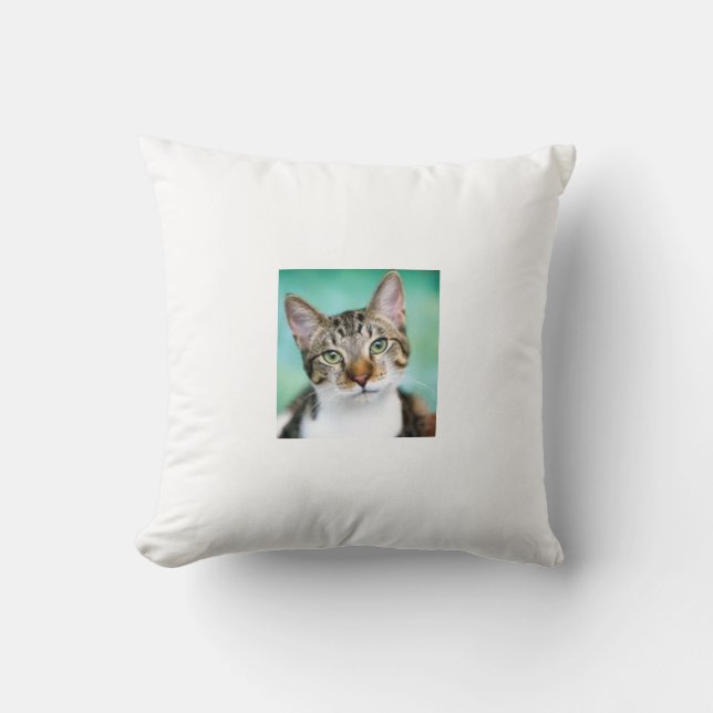 CatThrow Pillow Kussen (Voorkant)