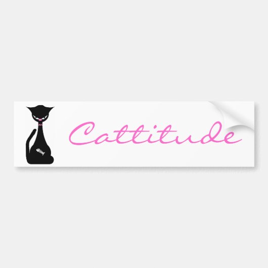 Cattitude bumpersticker (Voorkant)