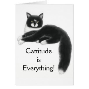 Cattitude est tout carte