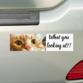 Cattitude Sticker (En voiture)