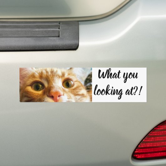 Cattitude Sticker (En voiture)