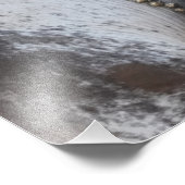 Cattle And Chickens In Cambodia Foto Afdruk (Hoek)