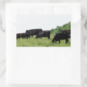 Cattle Black Angus Rechthoekige Sticker (Tas)