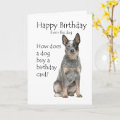 Cattle Dog Birthday Kaart (Gele Bloem)