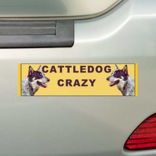 Cattle dog Crazy bumper sticker (En voiture)