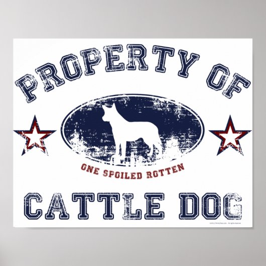 Cattle Dog Poster (Voorkant)