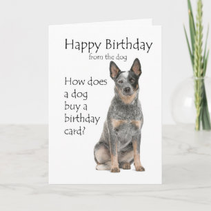 Cattle Dog Verjaardagskaart Kaart