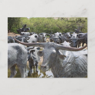 Cattle Drive # 12 Briefkaart