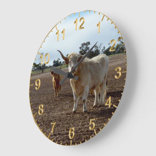 Cattle on the Loose: Highland Koeien Tarwe Heist Grote Klok (Hoek)