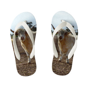 Cattle on the Loose: Highland Koeien Tarwe Heist Kinder Teenslippers