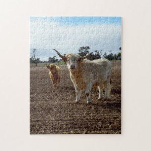Cattle on the Loose: Highland Koeien Tarwe Heist Legpuzzel